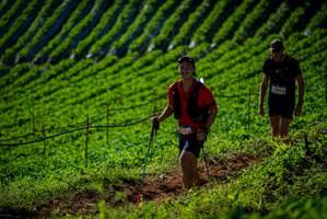 BIB: 
                            <button type="button" onclick="openModal(19161194)" class="btn btn-primary btn-sm float-right btn-popup" data-toggle="modal" data-target=".modal-high-quality">
                        <i class="fas fa-shopping-cart"></i> Add to Cart
                    </button>
                                            <button type="button" onclick="isThisMe(19161194, true)" class="btn btn-success btn-sm float-right btn-popup btn-isme hidden" data-toggle="tooltip" data-placement="bottom" title="นี่คือรูปของคุณใช่ไหม คลิกที่นี่เพื่อเอาเข้าอัลบั้ม">
                        <i class="fas fa-plus"></i> Add to album
                    </button>
                    <button type="button" onclick="isThisMe(19161194, false)" class="btn btn-warning btn-sm float-right btn-popup btn-isnotme hidden">
                        <i class="fas fa-ban"></i> Remove from album
                    </button>